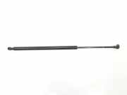 Gasdruckfedern Set Hinten 51248402405 BMW X5 (E53) SUV 3.0d 24V (M57N-D30(306D2)) 2004