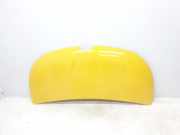 Motorhaube 651224338R Renault L1H1 29t Komfort