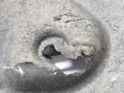 Bodenschutz VOOR LR088866 Land + Range Rover Discovery Sport (LC) Geländewagen 2.0 TD4 180 16V (204DTD) 2017