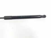 Gasdruckfeder Set Vorne 654700423R Renault Talisman Estate (RFDK) Kombi 1.6 dCi 130 (R9M-409(R9M-E4)) 2017
