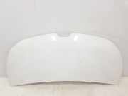 Motorhaube 651224338R Renault L1H1 29t Komfort