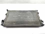 Radiator 8200008765 Renault IV JK0 Dynamique 2005