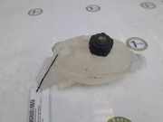 Ausgleichbehälter 217100015R Renault Master III (MA/MB/MC/MD/MH/MF/MG/MH) Van 2.3 dCi 135 16V FWD (M9T-702) 2016