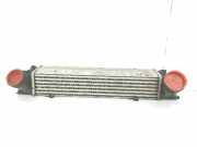 Ladeluftkühler 17517798788 BMW 1 serie (E87/87N) Schrägheck 5-drs 120d 16V (N47-D20C) 2010