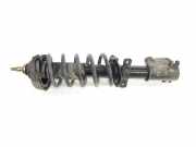 Stoßdämpfer Links Vorne 7701066476 Renault Trafic New (FL) Van 1.9 dCi 100 16V (F9Q-760) 2004