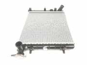 Radiator 2531025050 Hyundai Accent Schrägheck 1.3 12V (G4EA) 2000