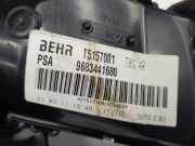 Heizlüfter 9683441680 Peugeot 5008 I (0A/0E) Großraumlimousine 1.6 HDiF 16V (DV6C(9HR)) 2011