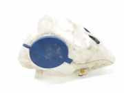 Scheibenwaschbehälter A1698690720 Mercedes-Benz A (W169) Schrägheck 2.0 A-180 CDI 16V 5-Drs. (OM640.940(Euro 4))