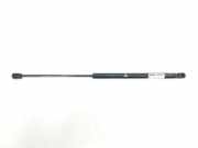 Gasdruckfedern Set Hinten 8P4827552B Audi A3 Sportback (8PA) Schrägheck 5-drs 2.0 TDI 16V (CBAB) 2009