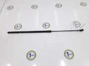 Gasdruckfeder Vorne 3C8823359 Volkswagen Passat CC (357) Coupé 2.0 TDI 16V 170 (CFGB) 2012 CFGB