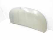 Motorhaube 651224338R Renault L1H1 29t Komfort