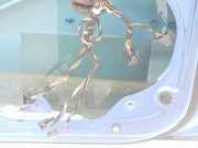 Tür Links Vorne 6Q3831055K Volkswagen Polo IV (9N1/2/3) Schrägheck 1.4 16V (BUD) 2006 BUD