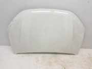 Motorhaube 651004113R Dacia Sandero III Schrägheck 1.0 TCe 90 12V (H4D-470(H4D-E4))