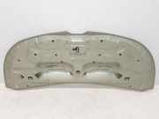Motorhaube 651224338R Renault L1H1 29t Komfort