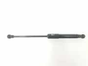 Gasdruckfeder Set Vorne 654705053R Renault Trafic (1FL/2FL/3FL/4FL) Van 2.0 dCi 16V 120 (M9R-710(M9R-V7)) 2021