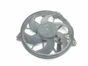 Lüfter Kühler 1250G7 Peugeot Expert (G9) Van 2.0 HDi 120 (DW10UTED4(RHK)) 2008