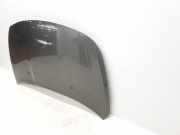 Motorhaube 52110085 Fiat II 356 BERLINA Lounge
