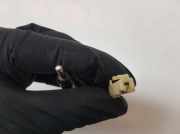 Antenne 6561WP Peugeot 4007 (VU/VV) SUV 2.2 HDiF 16V (DW12METED4(4HN)) 2010