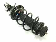 Stoßdämpfer Links Vorne 543035679R Renault II TECHNO