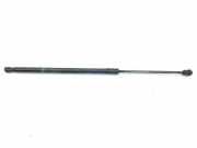 Gasdruckfeder Set Vorne A2049800064 Mercedes-Benz C (W204) Limousine 2.2 C-220 CDI 16V (OM646.811) 2008