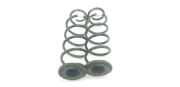 Schraubenfeder Set Hinten 2Q0511121DA Seat Ibiza V (KJB) Schrägheck 5-drs 1.0 TSI 12V (DLAC) 2023