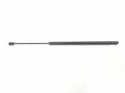 Gasdruckfeder Set Vorne 51238202688 BMW SERIE 3 COMPACT 2.0 16V D (150 CV) 2003