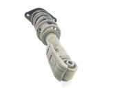 Stoßdämpfer Rechts Hinten 33529807016 Mini Mini Countryman (R60) Cross-over 1.6 16V One (N16-B16A)