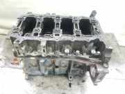 Motorblock BLOQUE199A2000 Fiat Grande Punto (199) Schrägheck 1.3 JTD Multijet 16V (199.A.2000) 2005