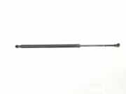 Gasdruckfedern Set Hinten 51248402405 BMW X5 (E53) SUV 3.0d 24V (M57N-D30(306D2)) 2004