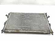 Radiator 8200008765 Renault IV JK0 Dynamique 2005