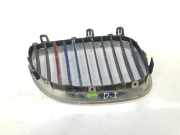 Grill Gitter Links 51137027061 BMW 5 serie (E60) Limousine 530d 24V (M57N-D30(306D2)) 2005