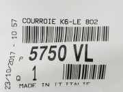 Steuerriemen 5750VL Peugeot 307 (3A/C/D) Schrägheck 2.0 HDi 90 (DW10TD(RHY))