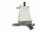 Ladeluftkühler 144615X00A Nissan Navara (D40) Pick-up 2.5 dCi 16V 4x4 (YD25DDTi)