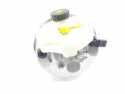 Bremskraftverstärker 34336875172 BMW X3 (G01) SUV xDrive 20d 2.0 TwinPower Turbo 16V (B47-D20A) 2021