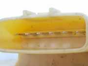 Kraftstoffpumpe 172028505R Opel Movano Van 2.3 CDTi 16V FWD (M9T-716(M9T-F7))