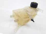 Ausgleichbehälter 217100005R Renault SCENIC III JZ BOSE Edition