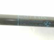 Gasdruckfedern Set Hinten 51247060622 BMW 1 serie (E87/87N) Schrägheck 5-drs 118d 16V (N47-D20C) 2009