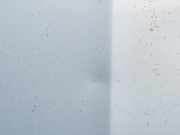 Motorhaube 7901J1 Citroën Xsara (N1) Schrägheck 2.0 HDi 90 (DW10TD(RHY)) 2003