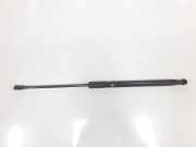 Gasdruckfedern Set Hinten 51247239871 BMW 1 serie (F21) Schrägheck 3-drs 116d 2.0 16V (N47-D20C) 2014