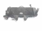 Radiator 19010KPC641 HONDA VARADERO 125