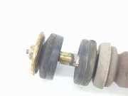 Stoßdämpfer Rechts Hinten 4180062J01 Suzuki Swift (ZA/ZC/ZD1/2/3/9) Schrägheck 1.3 VVT 16V (M13A VVT) 2005