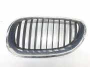 Grill Gitter Links 51137027061 BMW 5 serie (E60) Limousine 520i 24V (M54-B22(226S1)) 2004