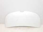 Motorhaube 651224338R Renault L1H1 29t Komfort
