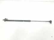 Gasdruckfedern Set Hinten GN15N400A12AD Ford EcoSport (JK8) SUV 1.0 EcoBoost 12V 125 (M1JU) 2018