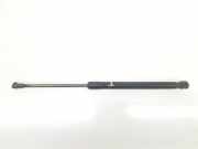 Gasdruckfedern Set Hinten 51247060622 BMW 1 serie (E87/87N) Schrägheck 5-drs 120d 16V (M47-D20(204D4)) 2006