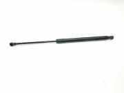Gasdruckfedern Set Hinten 7239871 BMW 1 serie (F20) Schrägheck 5-drs 116d 1.6 16V Efficient Dynamics (N47-D16A) 2012
