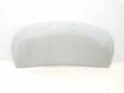 Motorhaube 651224338R Renault L1H1 29t Komfort