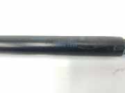 Gasdruckfeder Hinten 3C9827550B Volkswagen Golf V (1K1) Schrägheck 2.0 GTI 16V (BWA) 2007 BWA