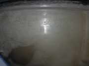 Ausgleichbehälter A2045000749 Mercedes-Benz E Estate (S212) Kombi E-220 CDI 16V BlueEfficiency,BlueTEC (OM651.924(Euro 5) 2013