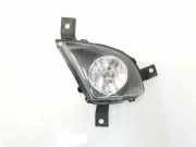 Nebelscheinwerfer Links 63177199893 BMW 3 serie Touring (E91) Kombi 330d 24V (N57-D30A) 2010
